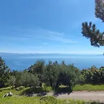 Persic Διαμέρισμα