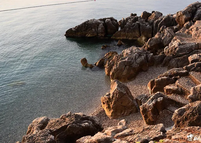 Persic 莫什奇尼策