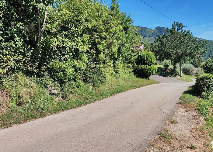 Persic * 莫什奇尼策